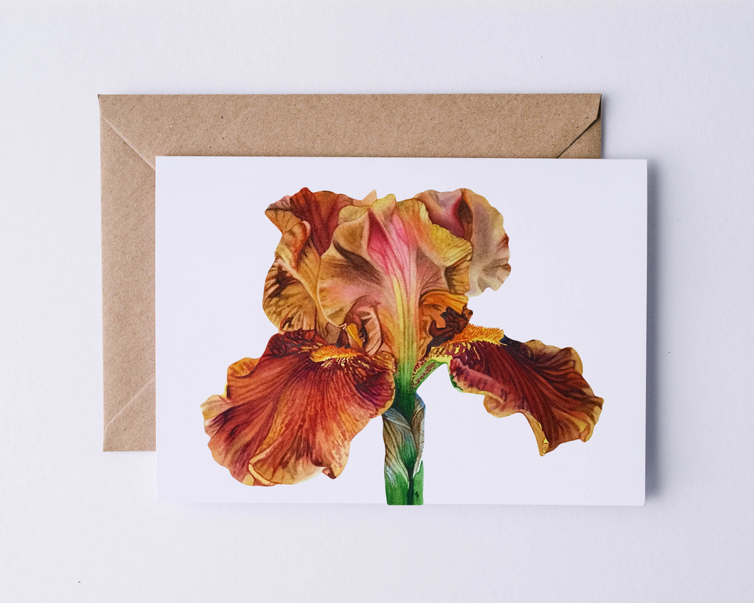Orange Iris Greeting Card