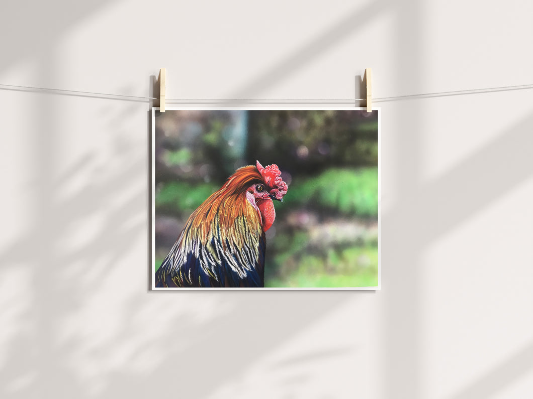 Rooster Life Print