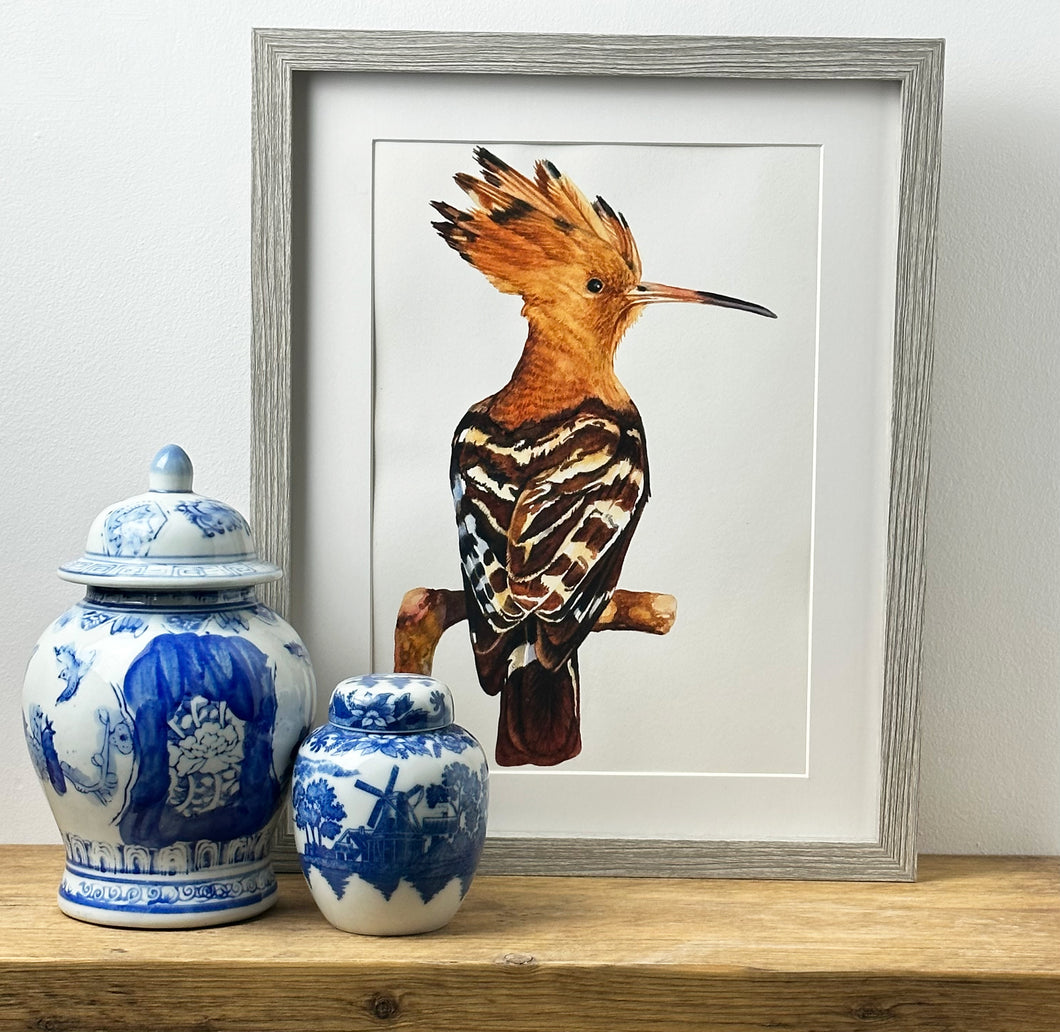 The Crown Hoopoe Watercolour Painting