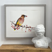 Load image into Gallery viewer, The Bohemian waxwing Painting

