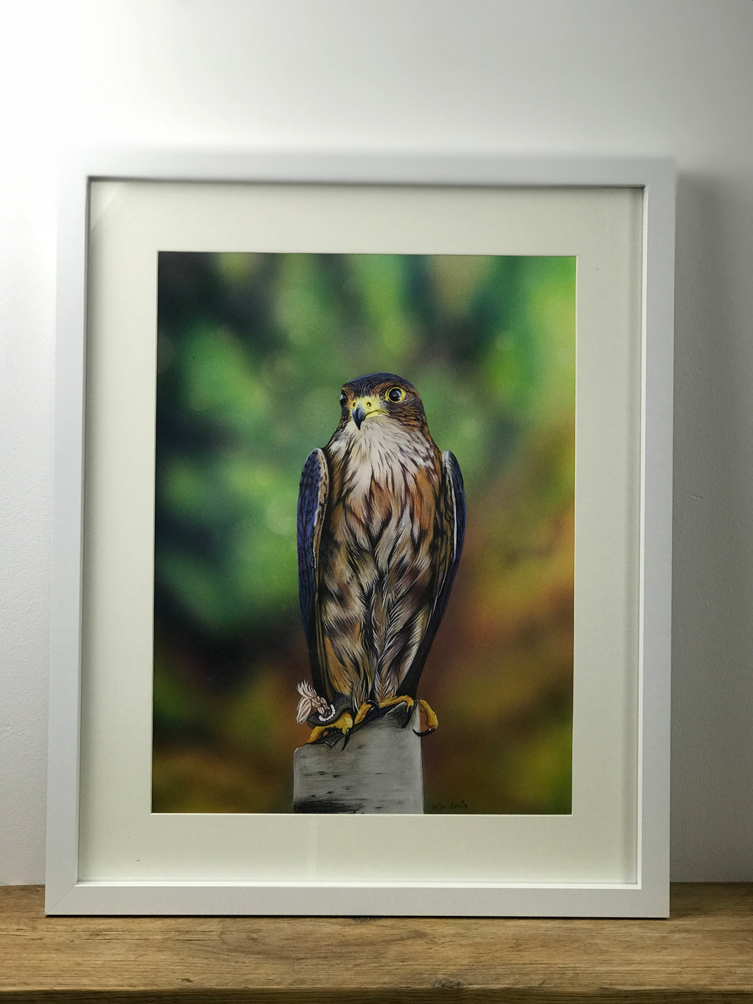 Merlin Falcon Painting