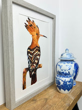 Load image into Gallery viewer, The Crown Hoopoe Watercolour Painting
