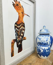 Load image into Gallery viewer, The Crown Hoopoe Watercolour Painting
