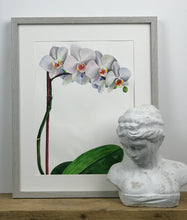 Load image into Gallery viewer, White Orchid Watercolour Painting
