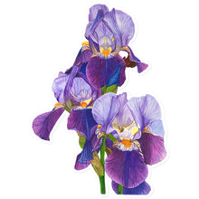 Load image into Gallery viewer, Dancing Iris Sticker

