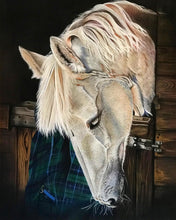 Load image into Gallery viewer, &quot;Silver&quot; Horse Painting
