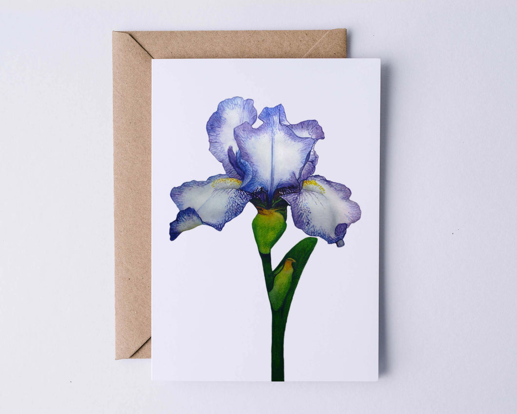 Little Iris Greeting Card