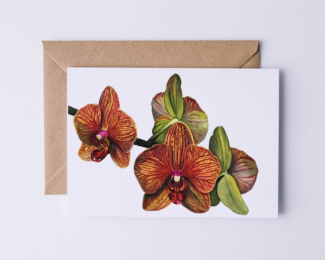 Yellow Orchid Greeting Card