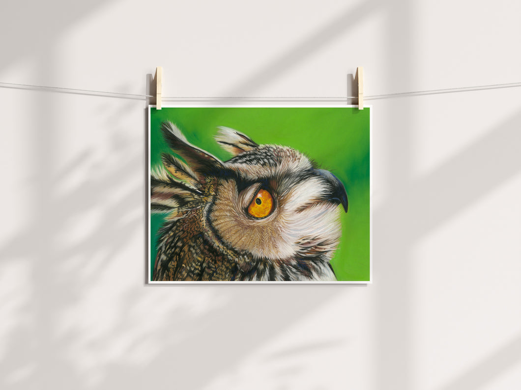 Eagle Owl Print
