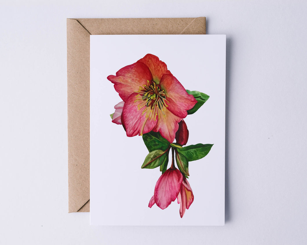 The Hellebore Greeting Card