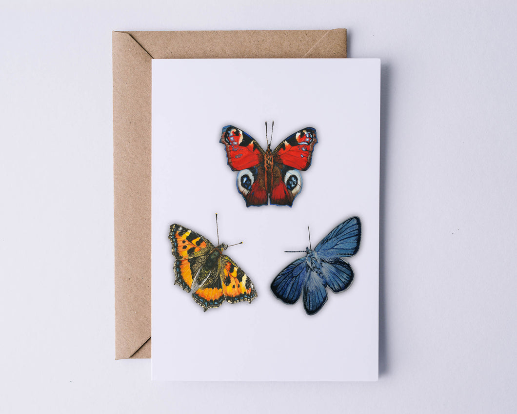 3 Butterflies Greeting Card