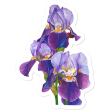 Load image into Gallery viewer, Dancing Iris Sticker
