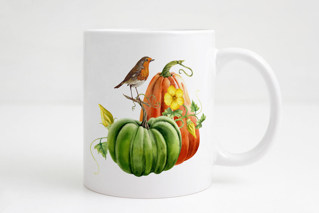 Autumn Robin On Pumpkin Mug