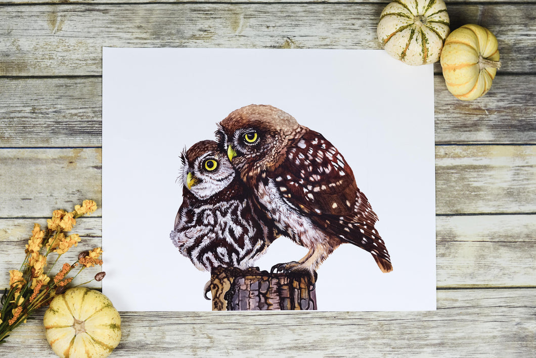 Unconditional Love Burrowing Owl Painting