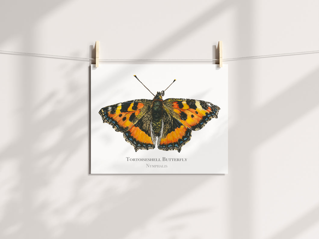 Tortoisehell Butterfly print